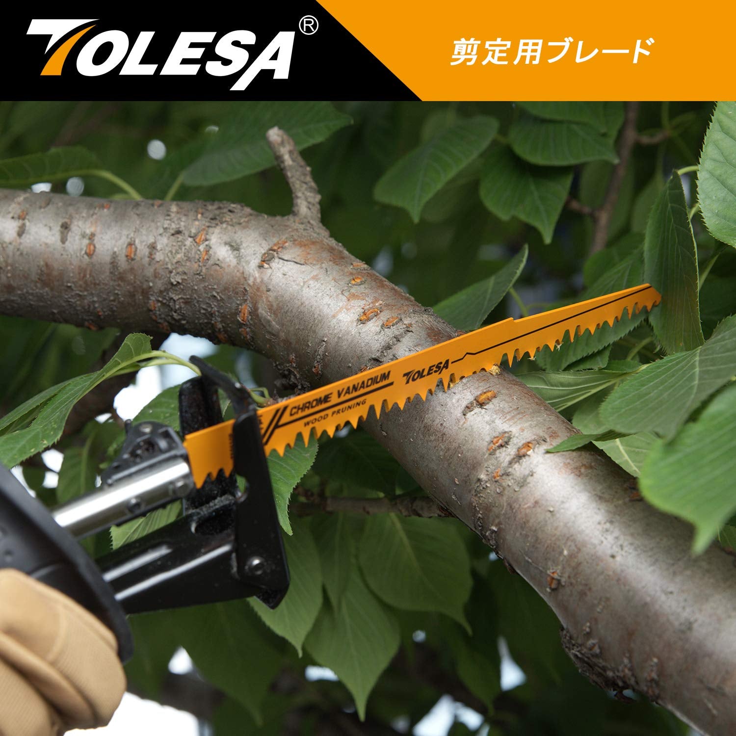 Wood Pruning Reciprocating Saw Blades 6 Inch 6 TPI Sawzall Blades Green Wood Construction and PVC Pipe CRV Sharp Ground Teeth for Quick Cutting Sabre Saw Blades 5 Pack