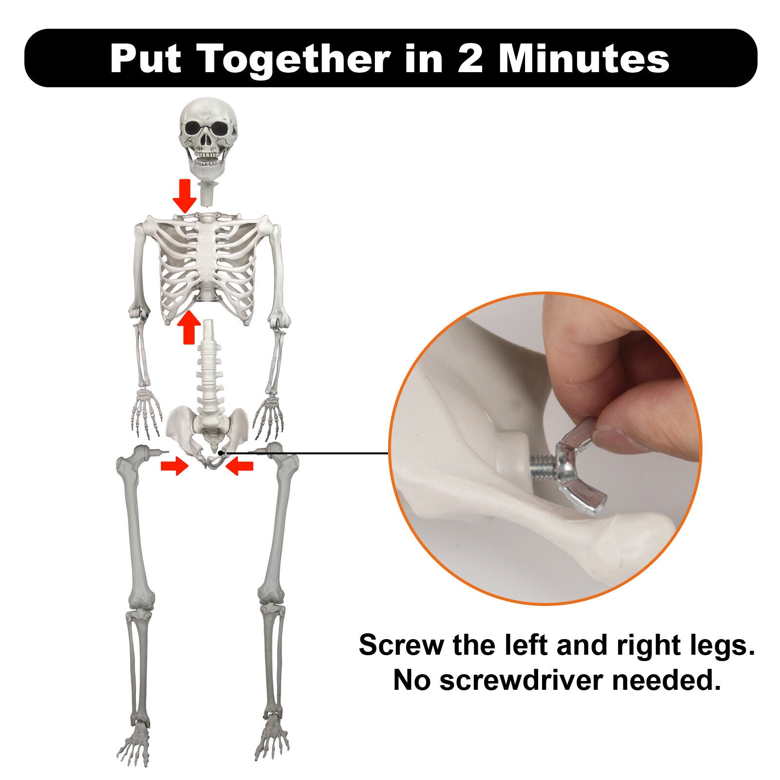 5.5FT Halloween Life Size Skeleton 66" Realistic Posable Human Hanging Skeleton