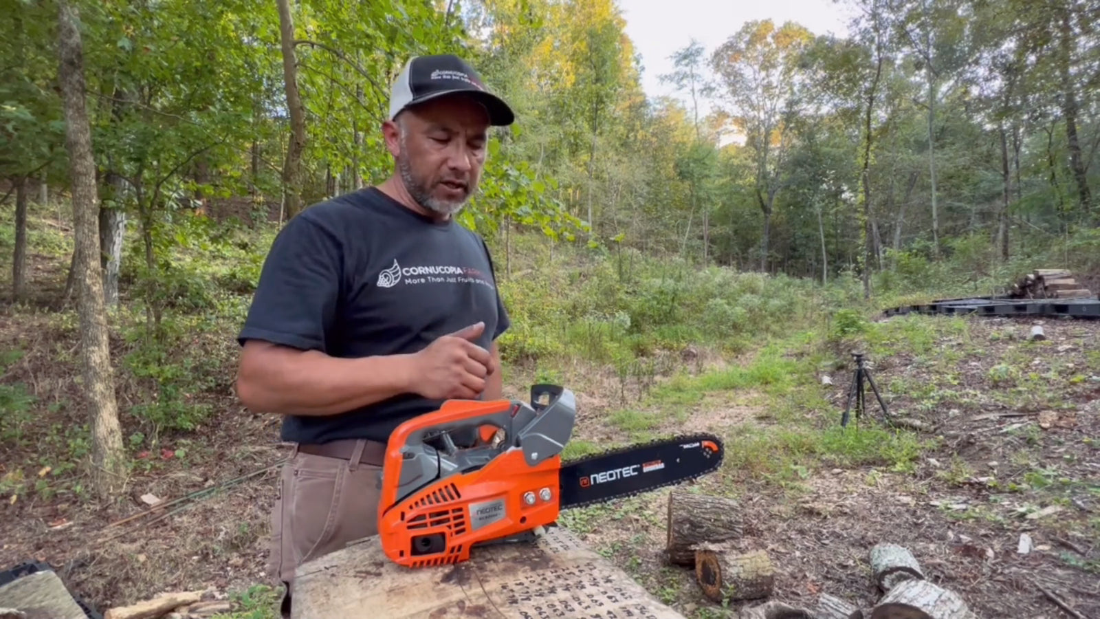 25.4Cc Gas Top Handle Chainsaw with 12'' Bar Chain 2-Stroke Engine Cut Tree Wood