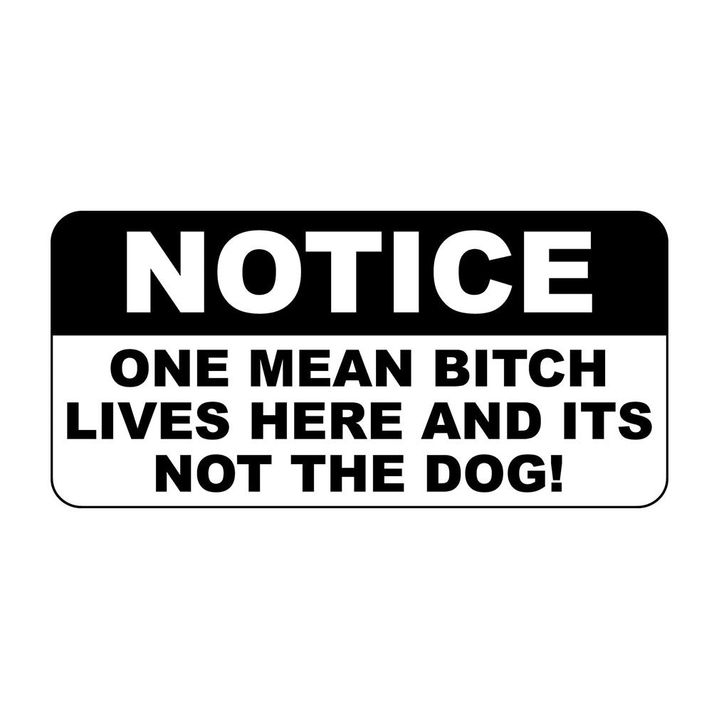 Notice One Mean Bitch Lives Here and Its Not the Dog Metal Sign - 8 X 12 In