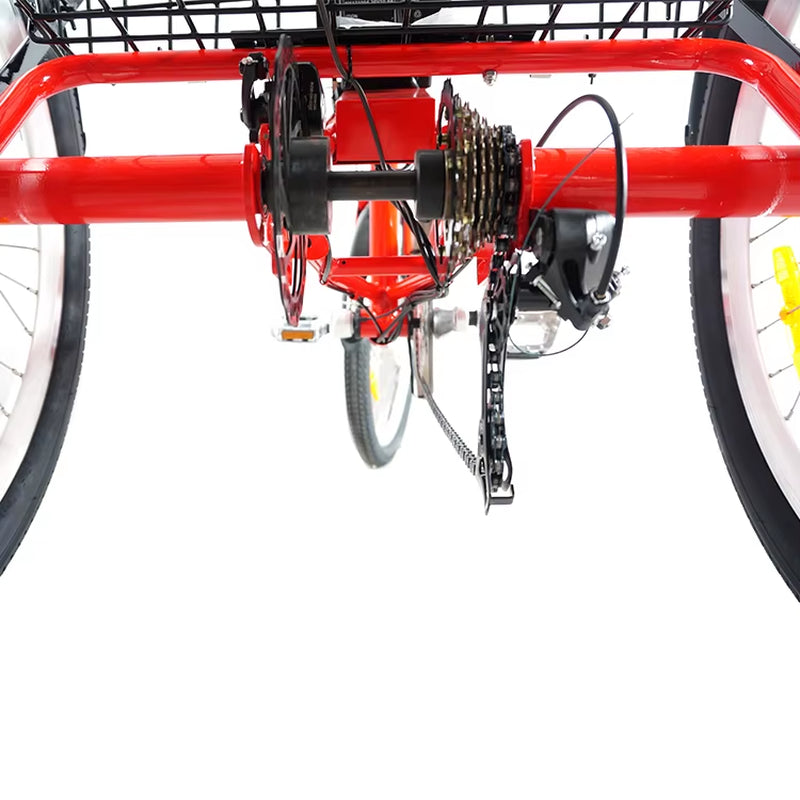 24\" Electrical Tricycle for Adults 350 Watt Open Three Wheels 36V Voltage Directly from USA Warehouse