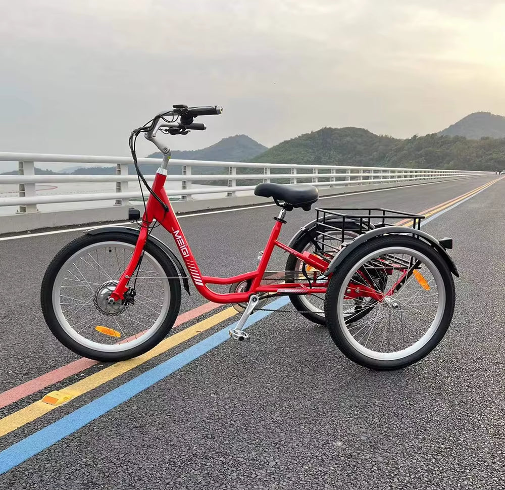 24\" Electrical Tricycle for Adults 350 Watt Open Three Wheels 36V Voltage Directly from USA Warehouse