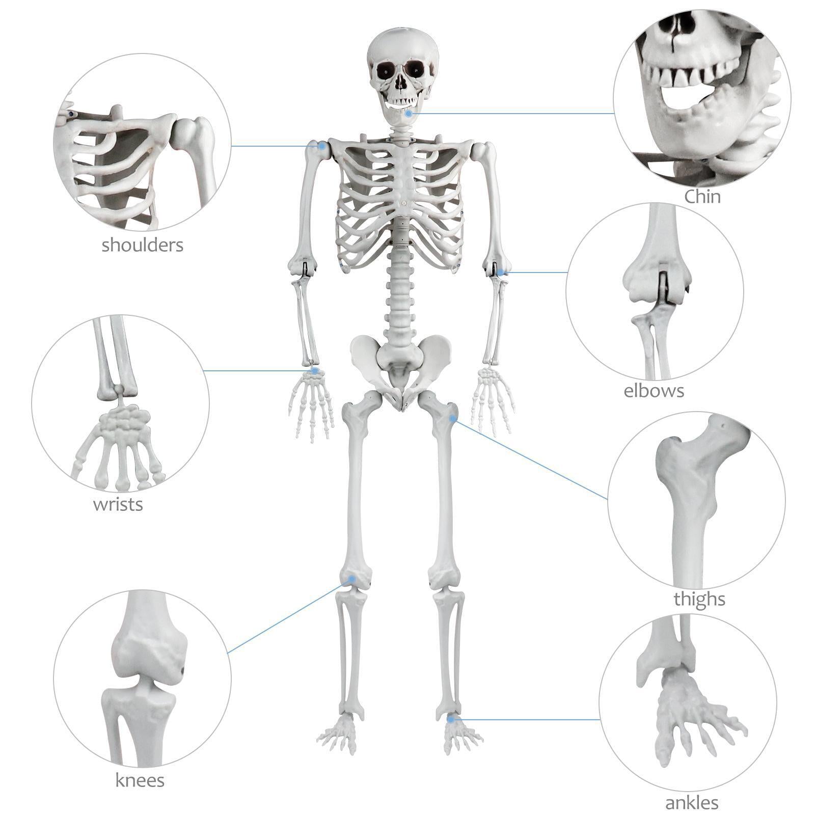 Halloween Skeleton Oversized Poseable Human Full Life Size Party Decor Prop