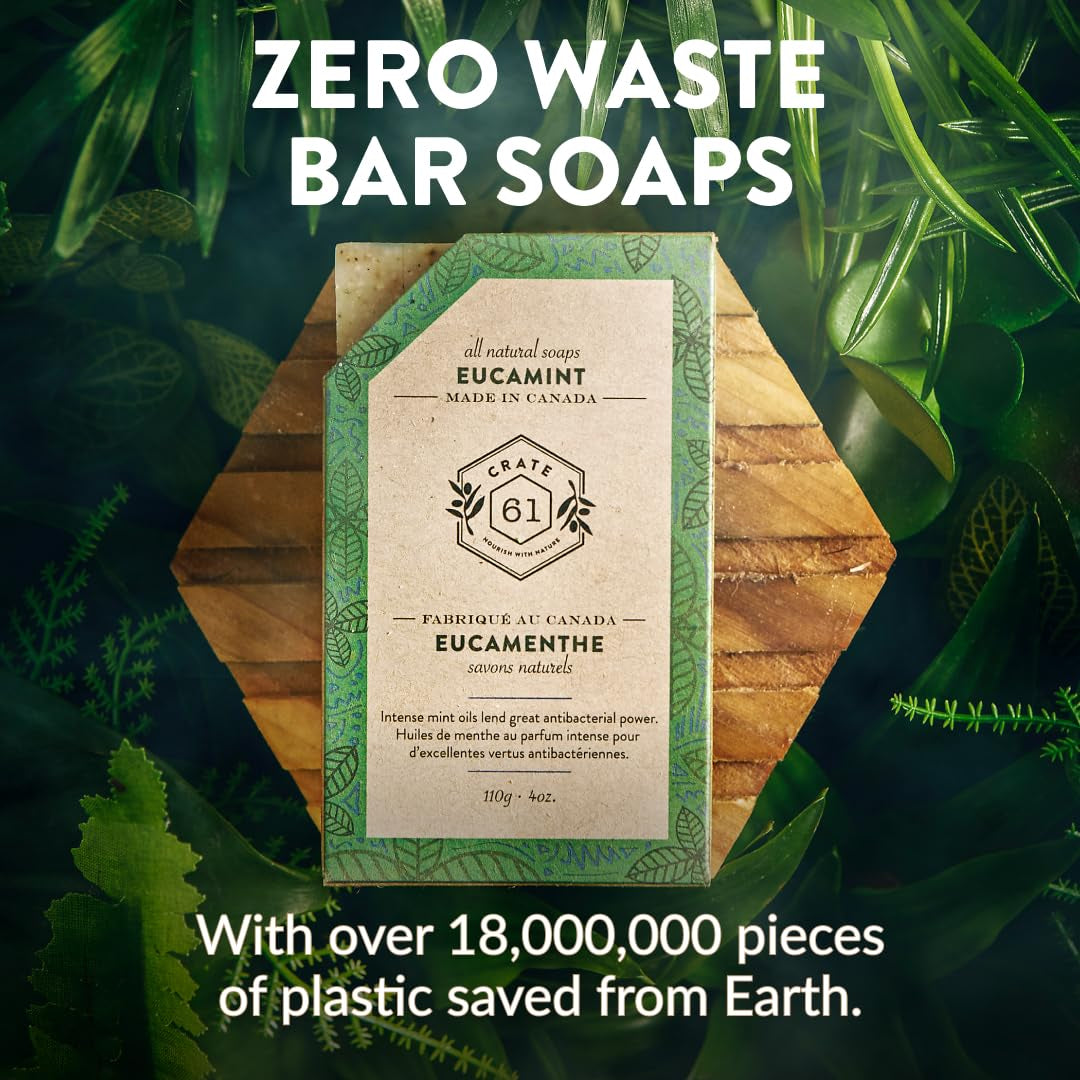 Handmade in Canada, Plant Based Cold Process Natural Bar Soap for Face and Body, with Premium Essential Oils, for Men and Women 3 Pack (Eucamint)