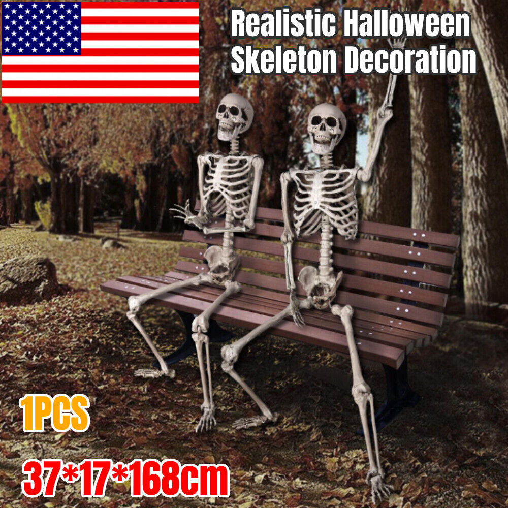 Halloween Skeleton Oversized Poseable Human Full Life Size Party Decor Prop