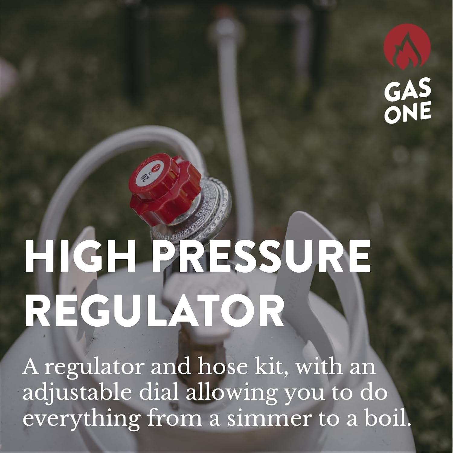 2113 0-20PSI Propane Regulator with Hose 4 Ft