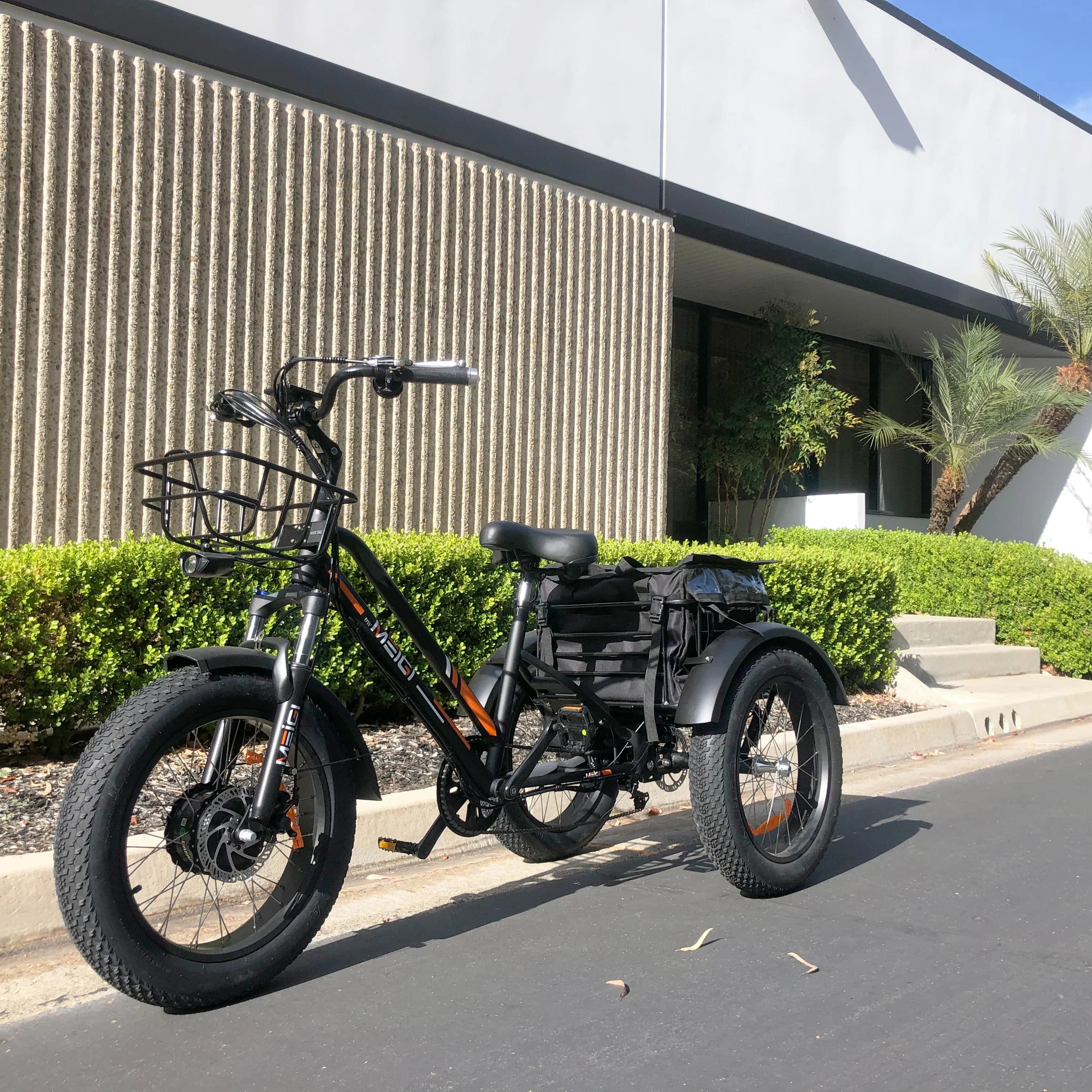 EZREAL 750 Watt Electric 3-Wheel Bike 48V Open Body Electric Tricycle with Fat Tire for Food Delivery Stocked at USA Warehouse