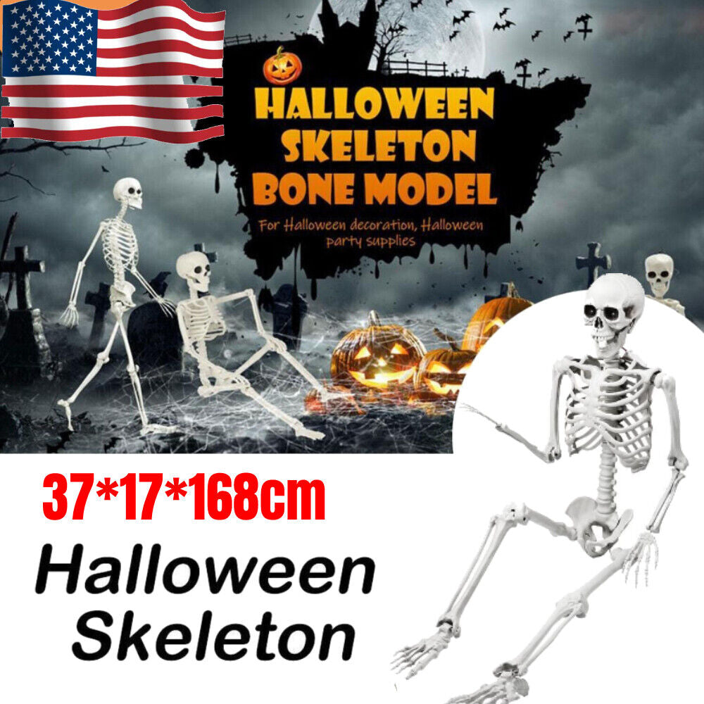 Halloween Skeleton Oversized Poseable Human Full Life Size Party Decor Prop
