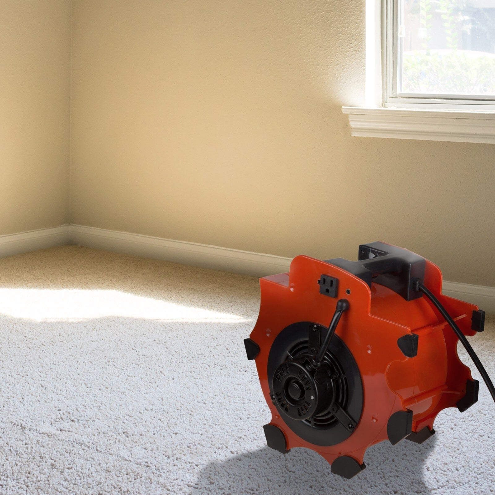 Blower Fan 3-Speed Heavy-Duty Floor and Carpet Dryer 1600 W Portable Air Mover