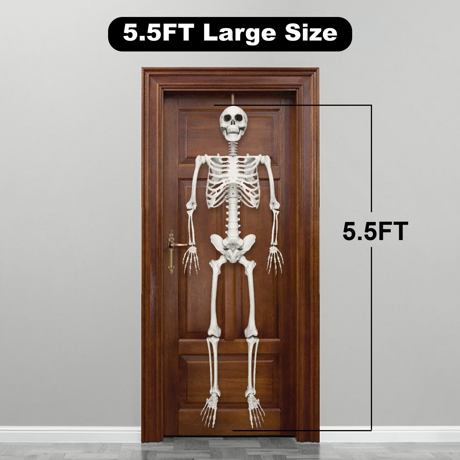 5.5FT Halloween Life Size Skeleton 66" Realistic Posable Human Hanging Skeleton