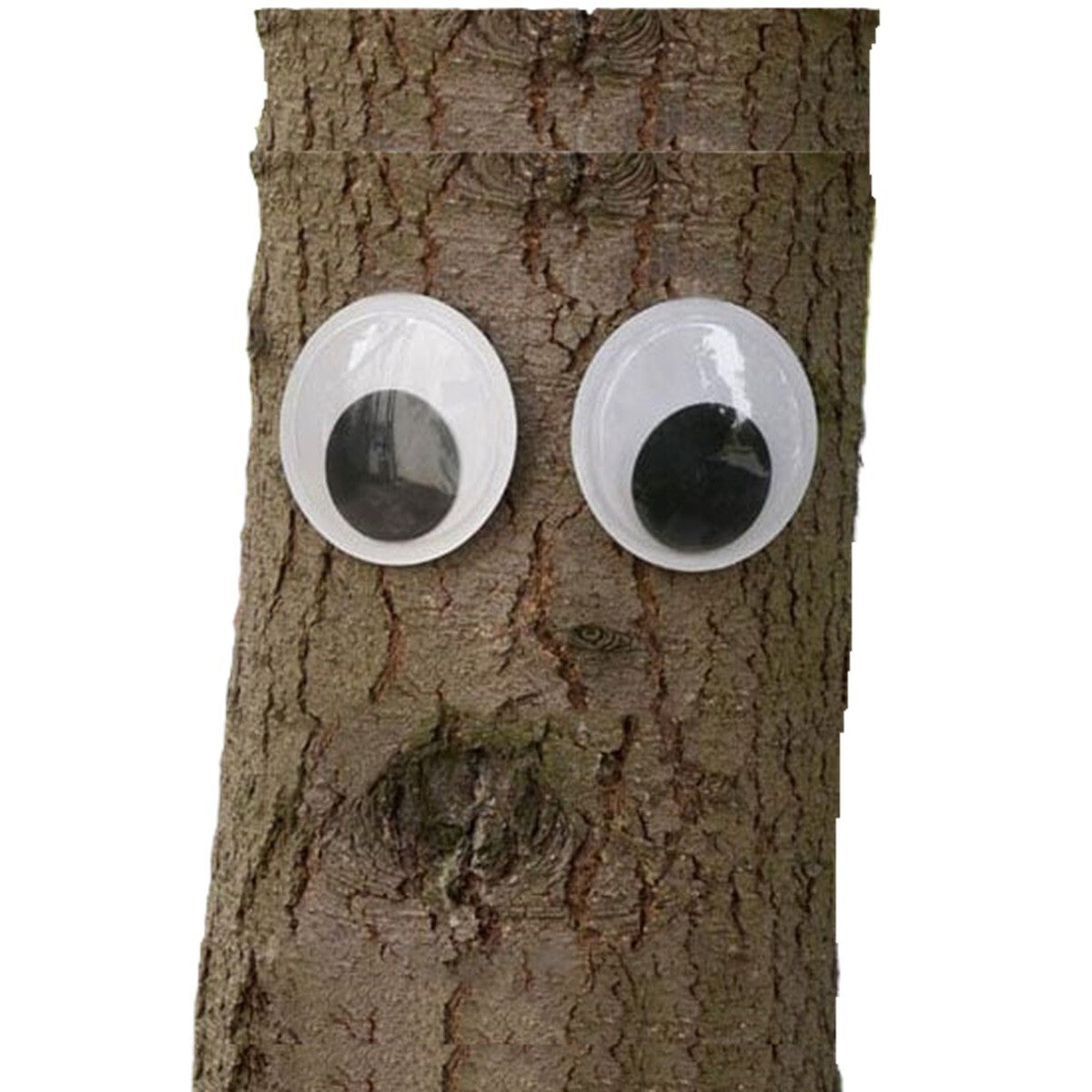 6-Inch BIG GIANT GOOGLY WIGGLE EYES W/Self-Stick Adhesive DIY Crafts Decorations